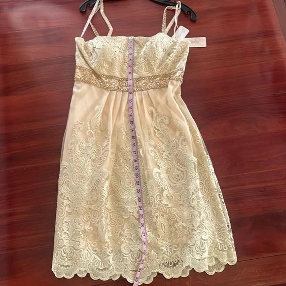 sue wong champagne dress VINTAGE Y2K Sue Wong NOCTURNE Beaded WOMEN 14 SHEER BACK Champagne Dress GATSBY